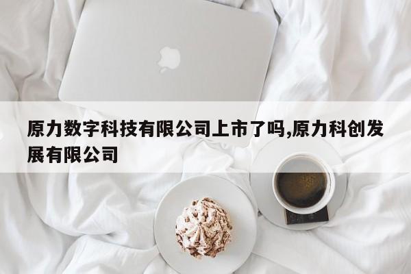 原力数字科技有限公司上市了吗,原力科创发展有限公司