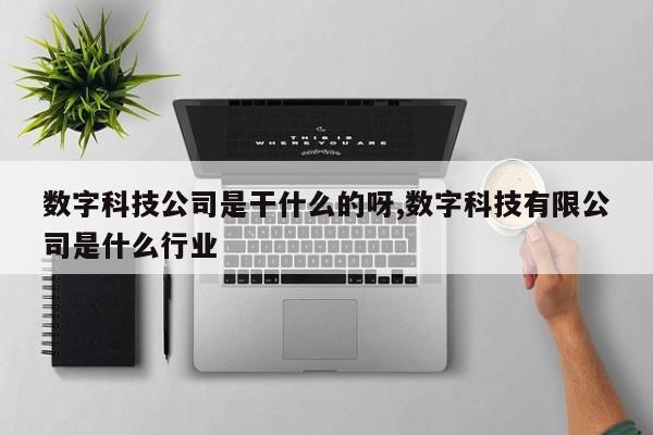 数字科技公司是干什么的呀,数字科技有限公司是什么行业