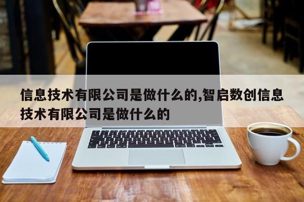 信息技术有限公司是做什么的,智启数创信息技术有限公司是做什么的