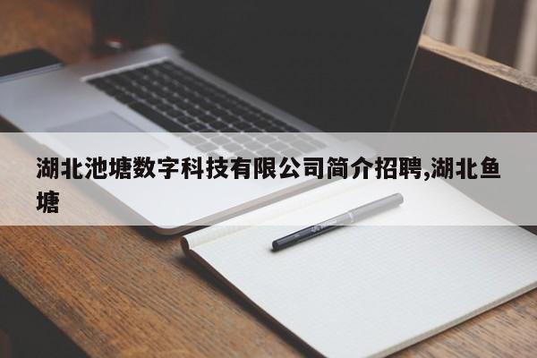 湖北池塘数字科技有限公司简介招聘,湖北鱼塘