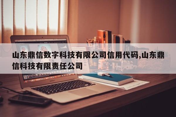 山东鼎信数字科技有限公司信用代码,山东鼎信科技有限责任公司