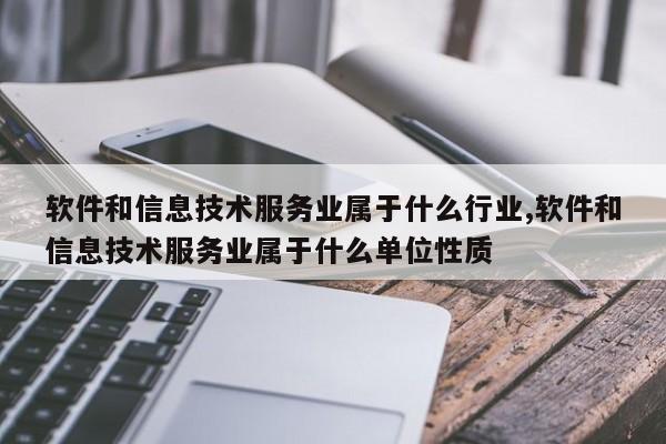 软件和信息技术服务业属于什么行业,软件和信息技术服务业属于什么单位性质