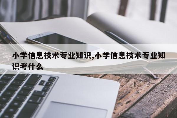 小学信息技术专业知识,小学信息技术专业知识考什么