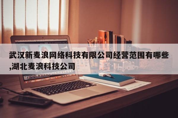 武汉新麦浪网络科技有限公司经营范围有哪些,湖北麦浪科技公司