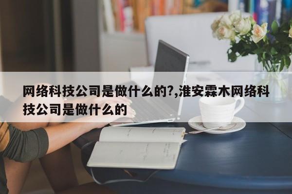 网络科技公司是做什么的?,淮安霖木网络科技公司是做什么的